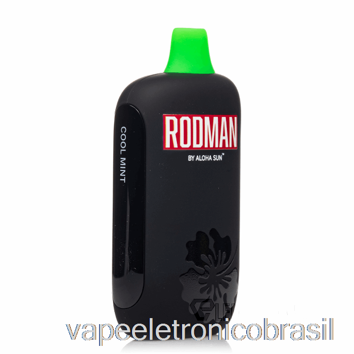 Vape Eletrônico Rodman 9100 Descartável Cool Mint